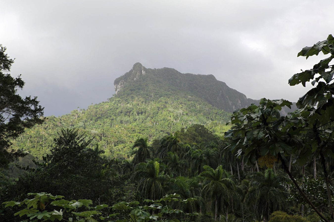 Alejandro de Humboldt National Park