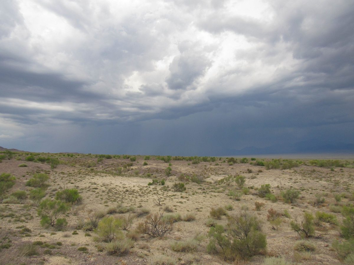 Altyn-Emel National Park