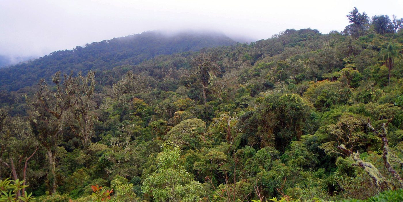 Amboró National Park