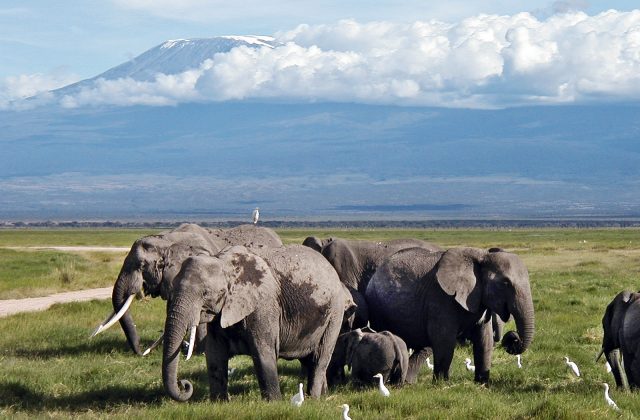 Amboseli National Park