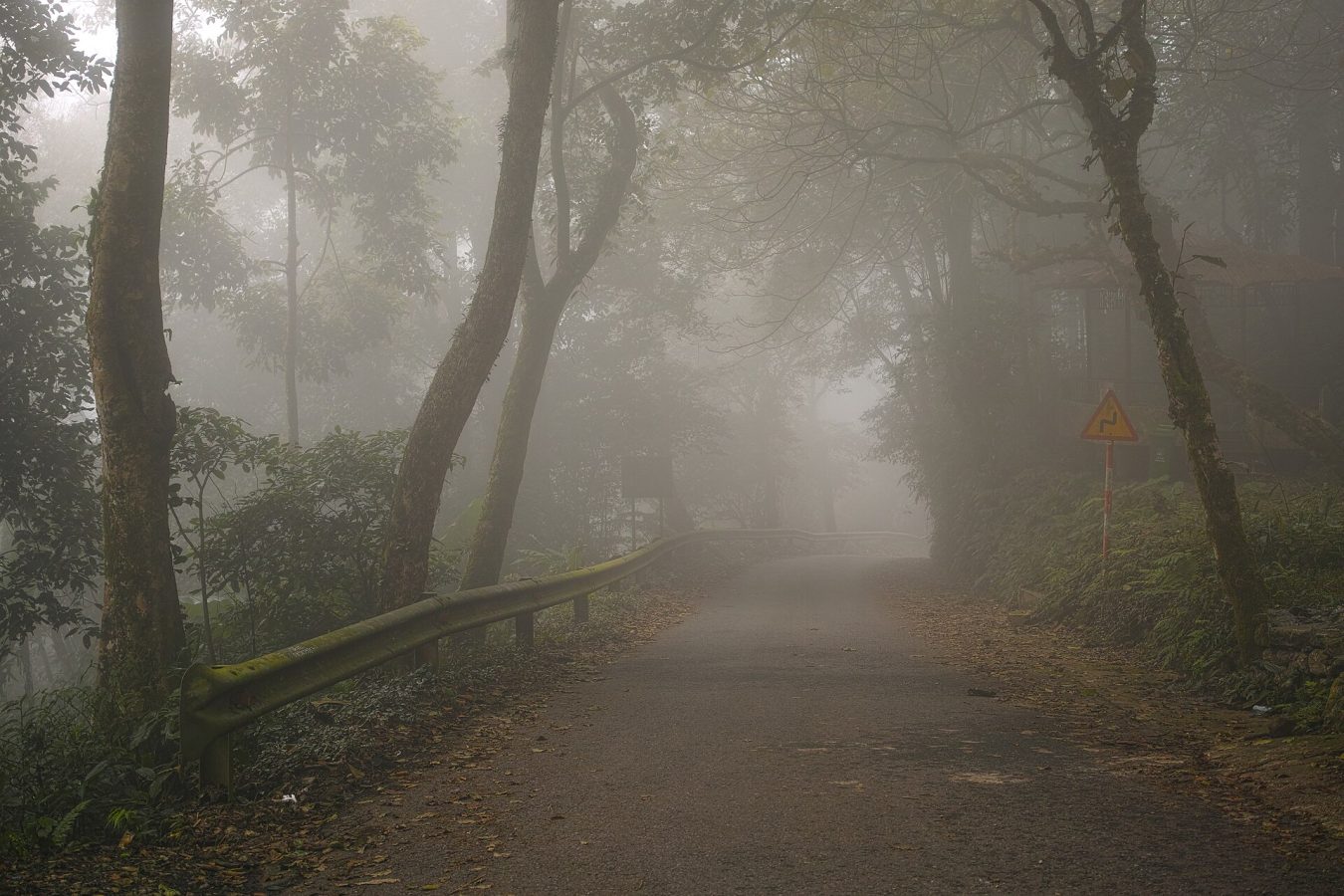 Ba Vi National Park