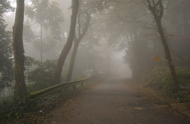 Ba Vi National Park