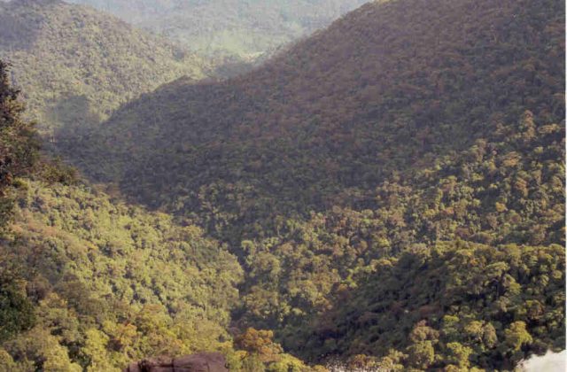 Bach Ma National Park