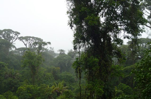 Braulio Carrillo National Park