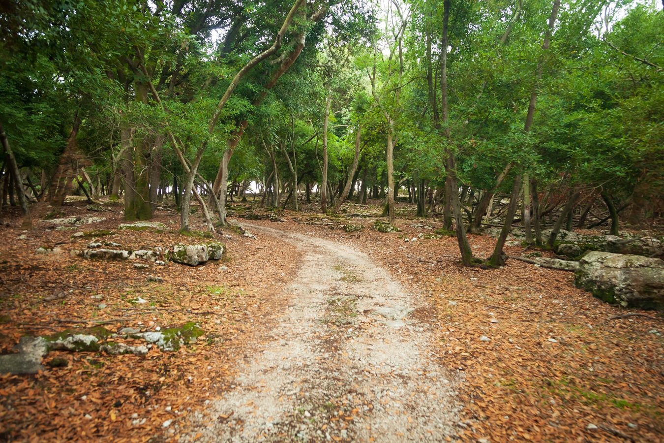 Brijuni National Park