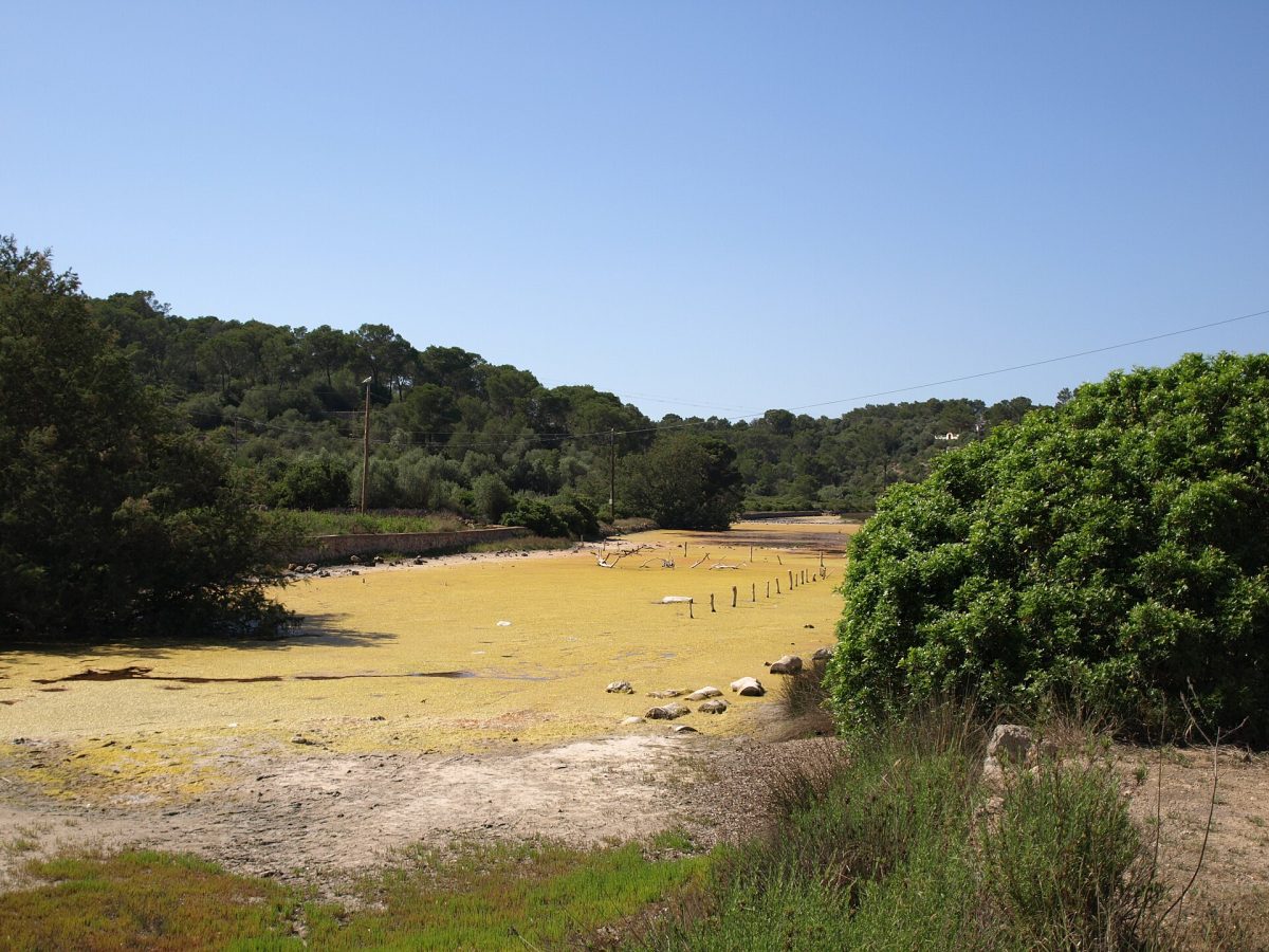 Mondragó Natural Park