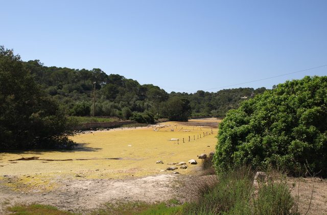 Mondragó Natural Park