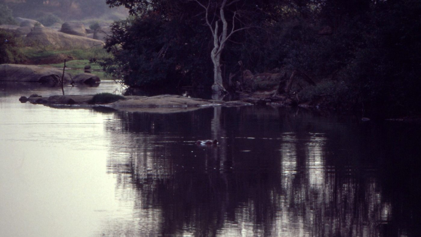 Comoe National Park