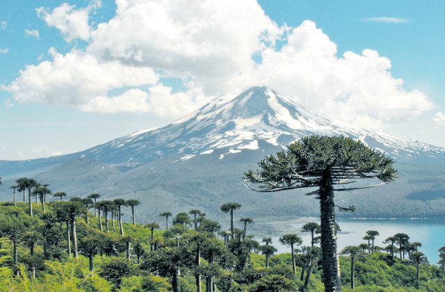 Conguillío National Park