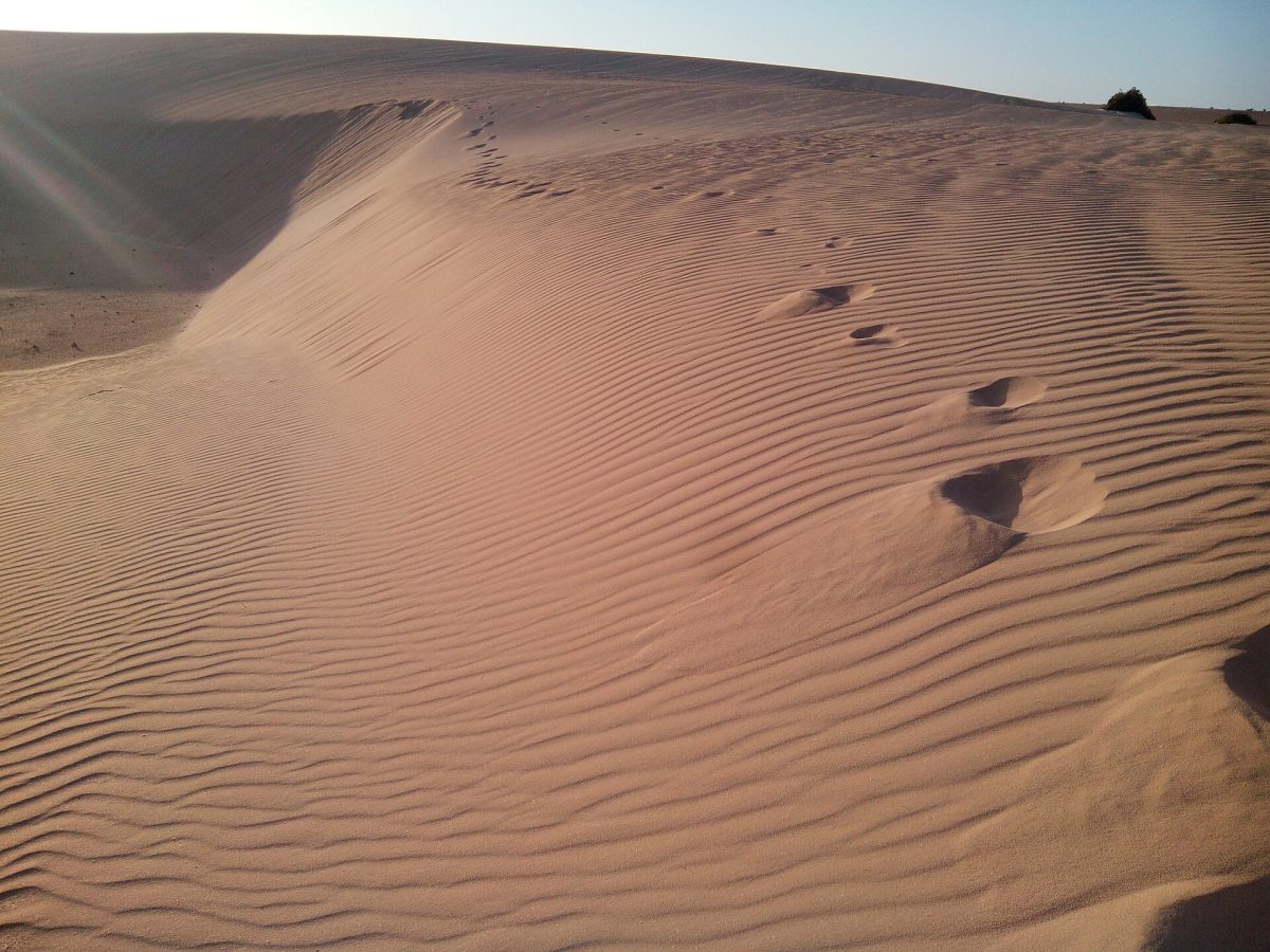 Corralejo Natural Park