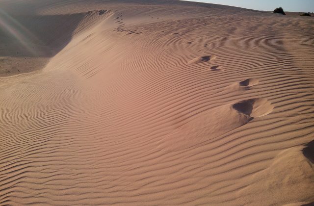 Corralejo Natural Park