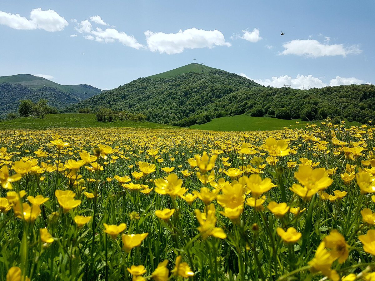 Dilijan National Park