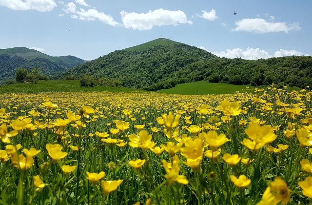 Dilijan National Park