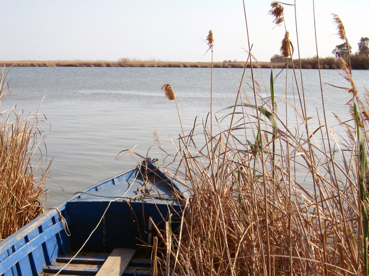 Ebro Delta Natural Park