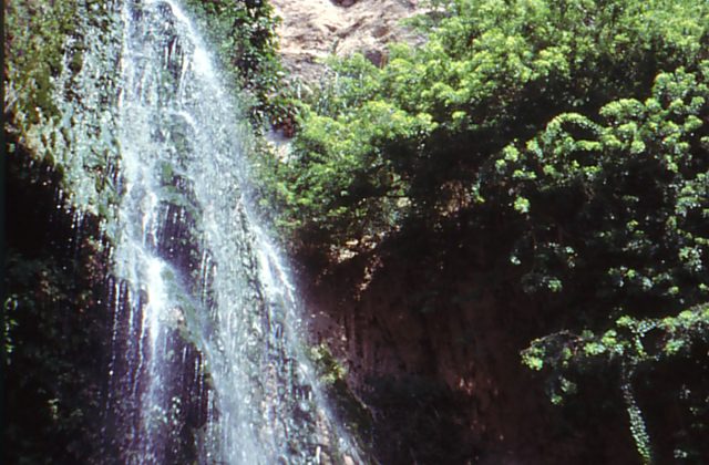 Ein Gedi Nature Reserve
