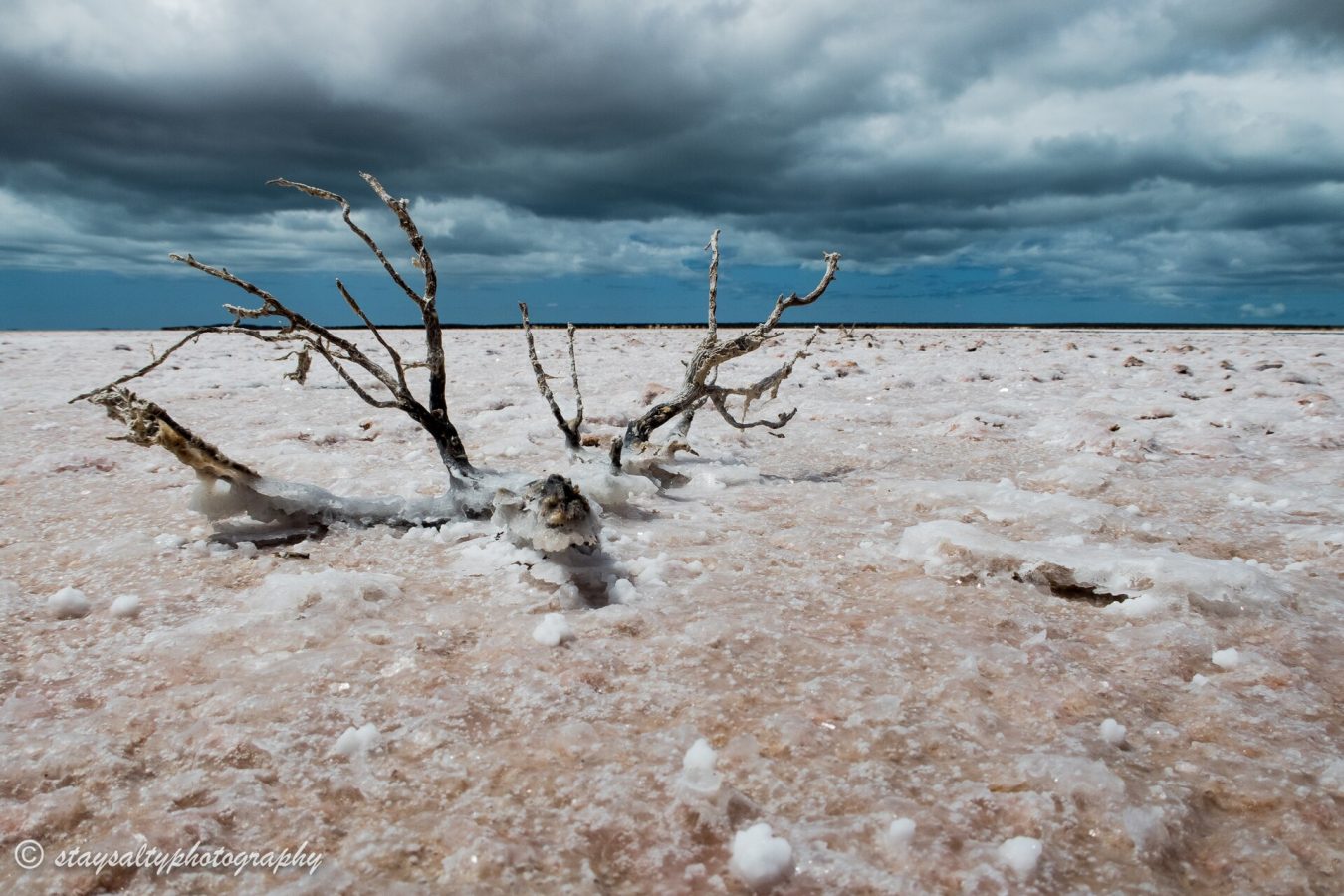 Francois Peron National Park