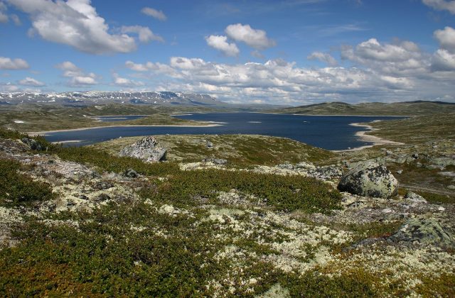 Hardangervidda National Park