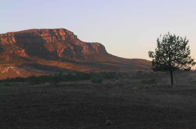 Ikara-Flinders Ranges National Park