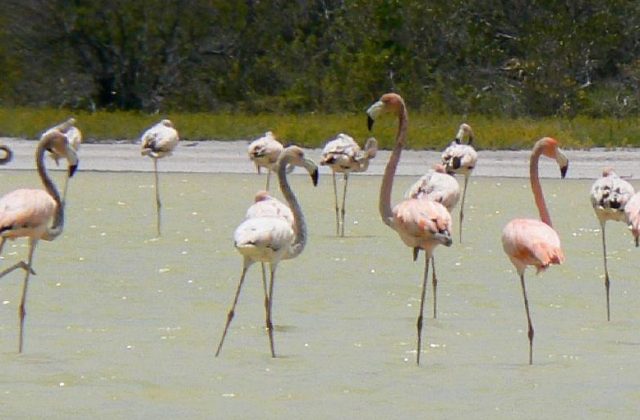 Jaragua National Park