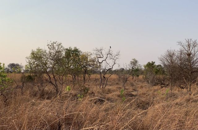 Kafue National Park