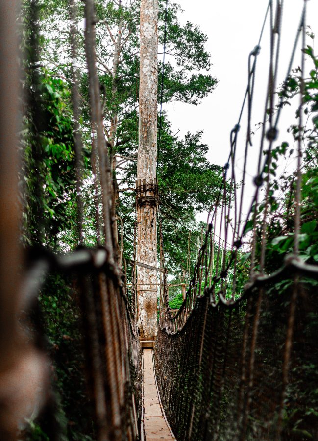 Kakum National Park