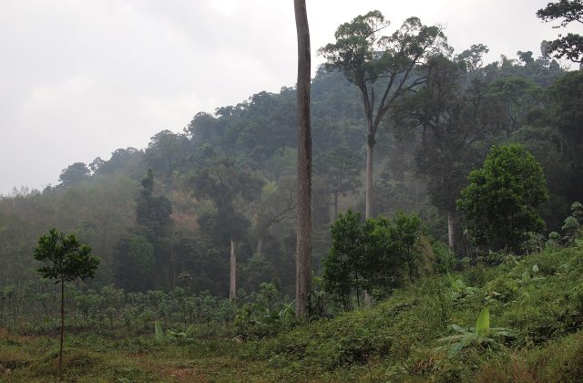 Khao Lak–Lam Ru National Park
