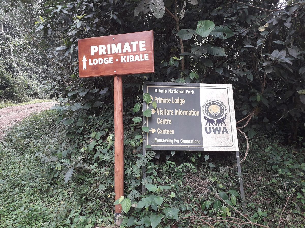 Kibale National Park