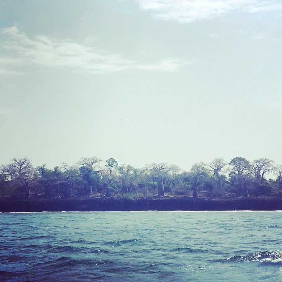 Kisite-Mpunguti Marine National Park