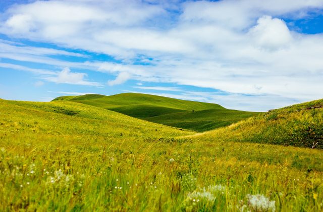 Kitulo National Park