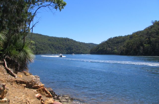 Ku-ring-gai Chase National Park
