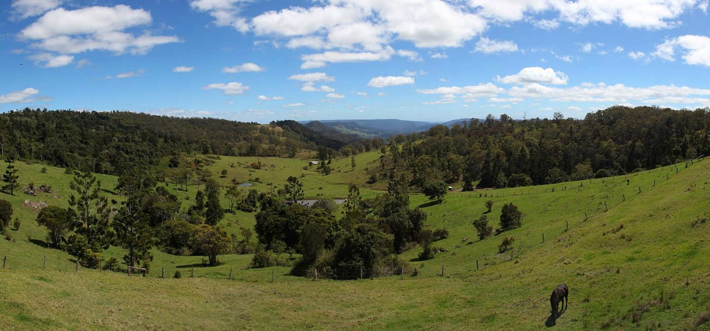 Lamington National Park