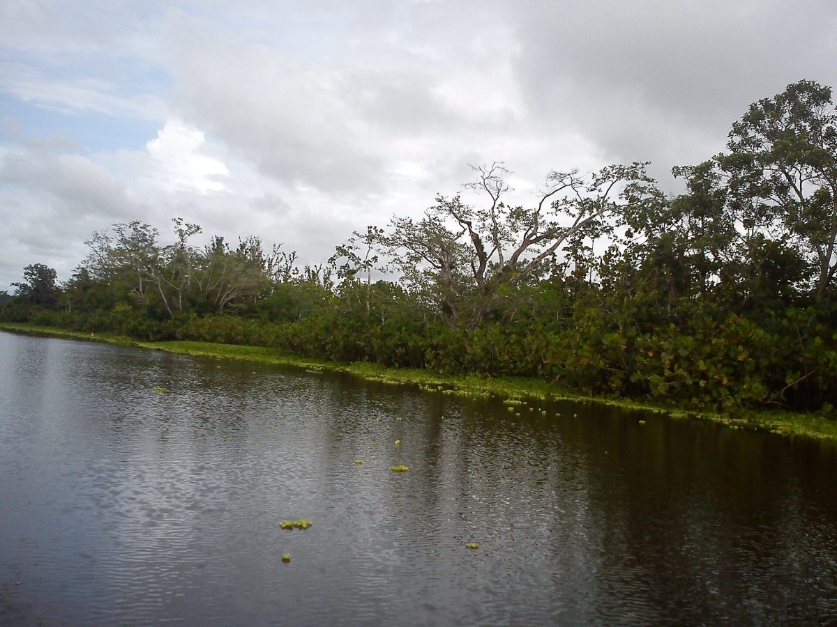 Los Katios National Park