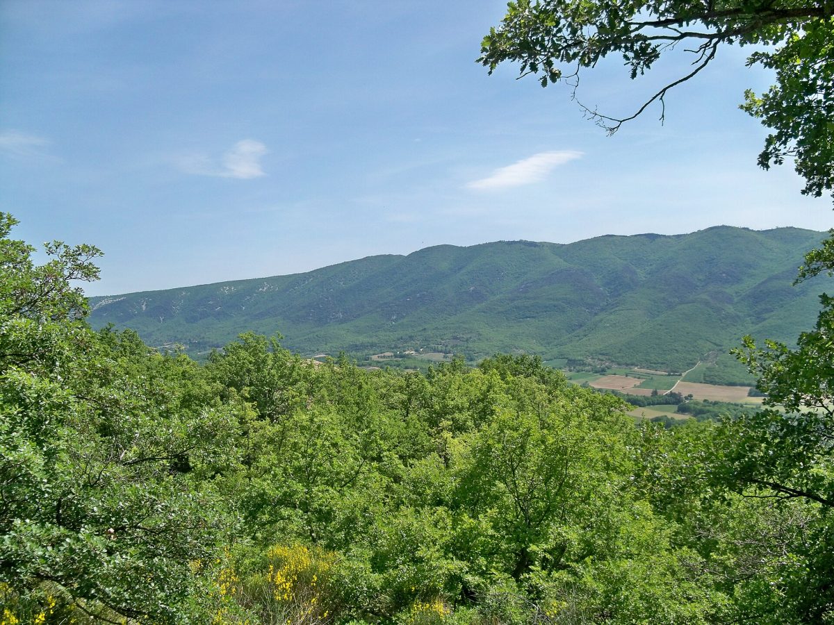 Luberon Regional Nature Park