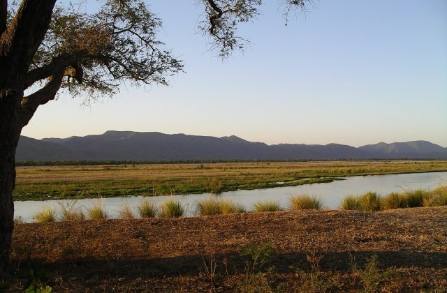 Mana Pools National Park