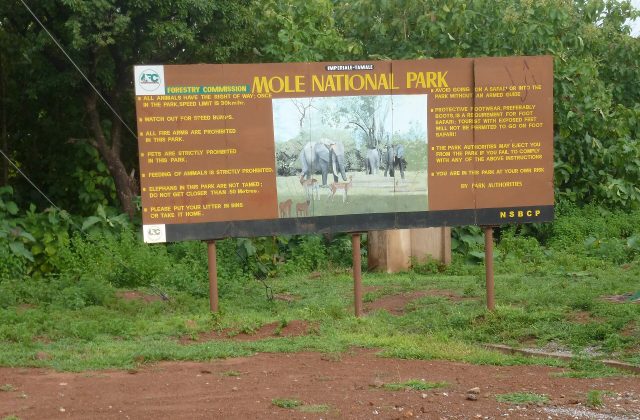 Mole National Park
