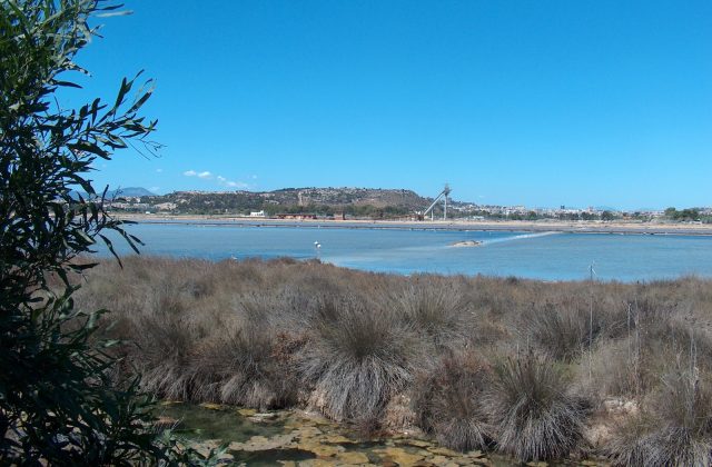 Molentargius-Saline Regional Park