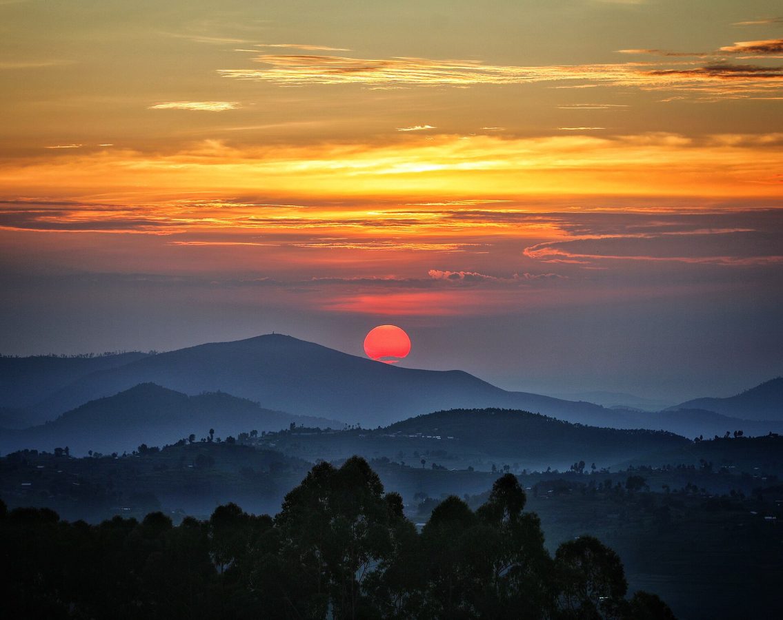 Nyungwe Forest National Park