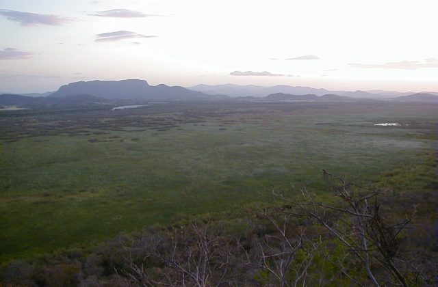 Palo Verde National Park