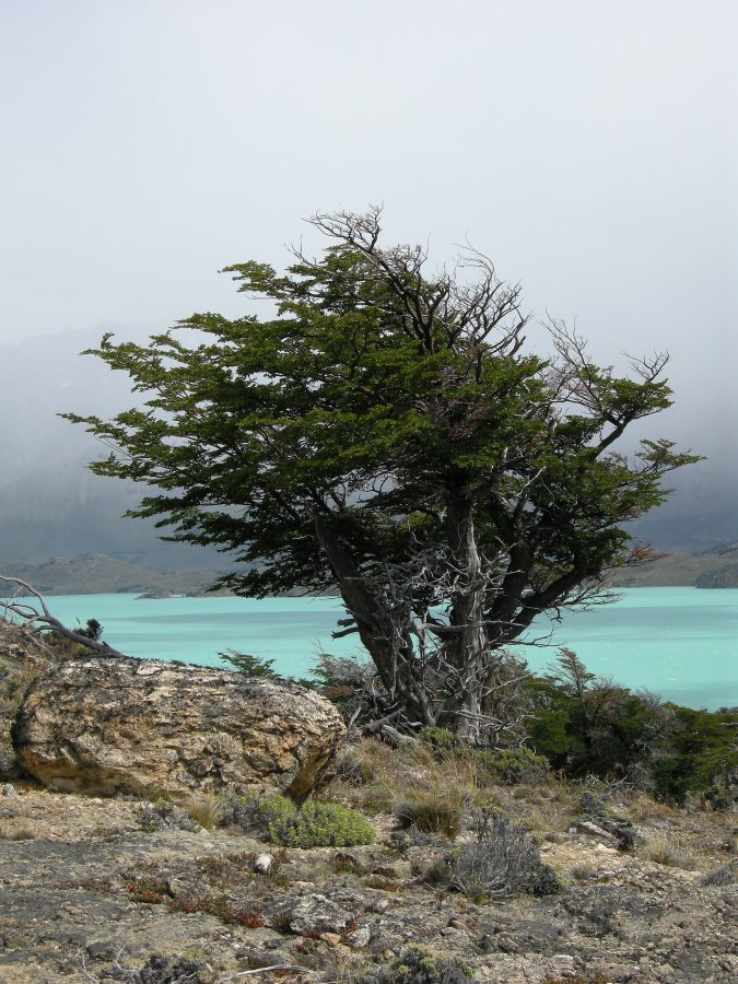 Perito Moreno National Park