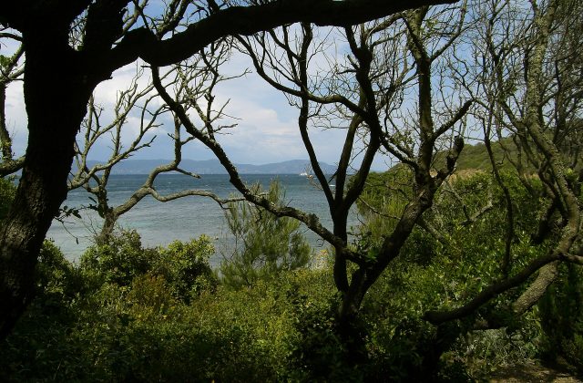 Port-Cros National Park