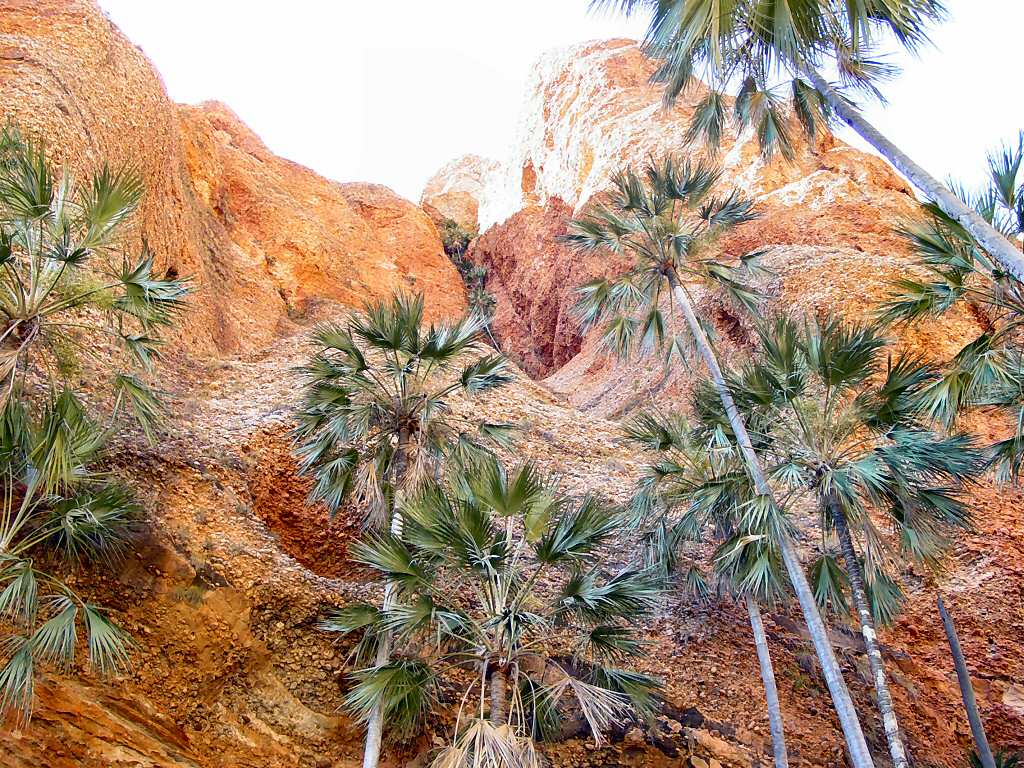 Purnululu National Park
