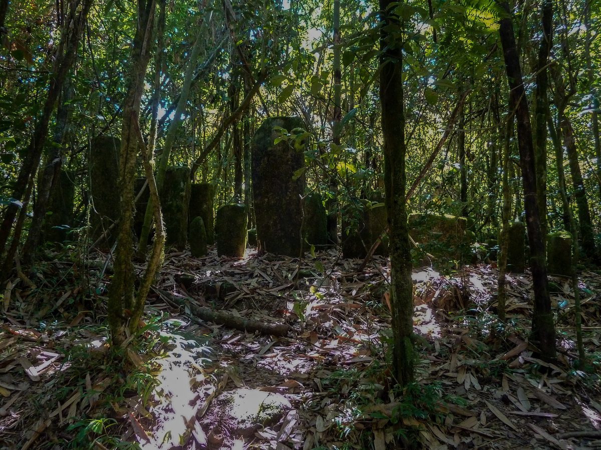 Ranomafana National Park