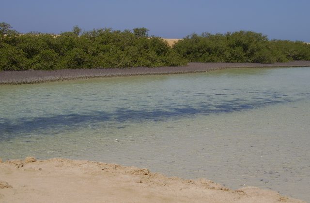 Ras Muhammad National Park