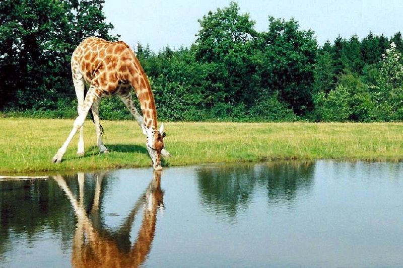 Ruma National Park