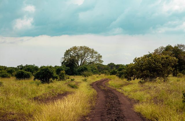 Saadani National Park