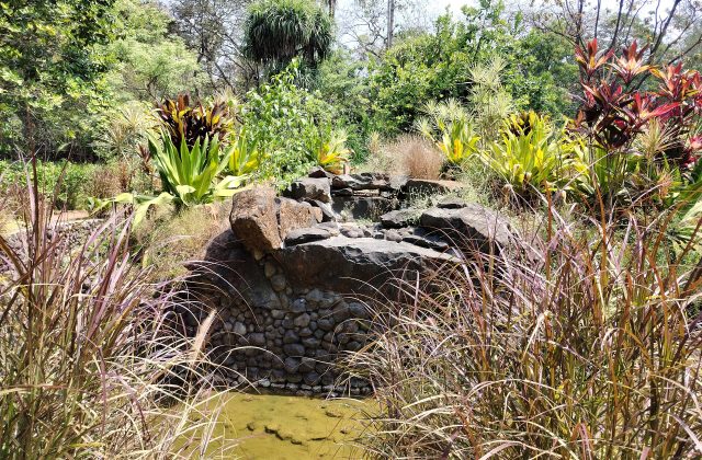 Sanjay Gandhi National Park