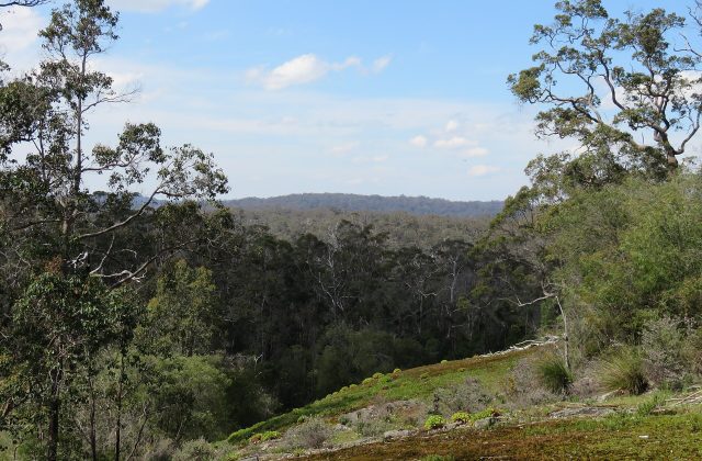 Shannon National Park
