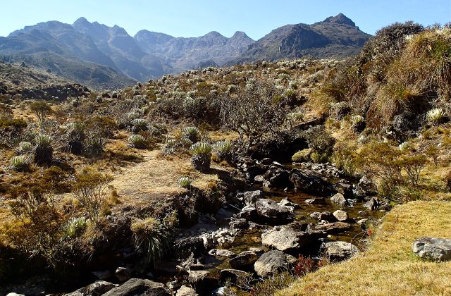 Sierra Nevada National Park, Venezuela