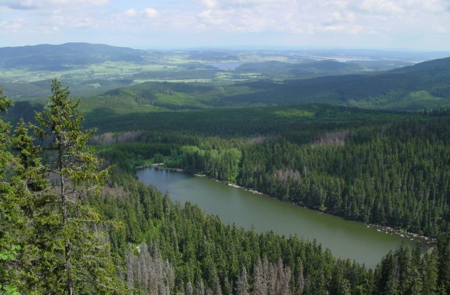 Sumava National Park