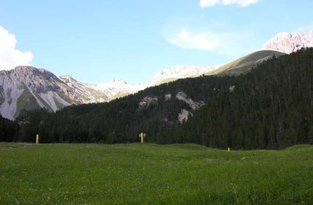 Swiss National Park